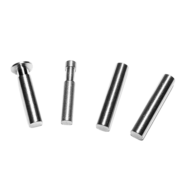 RUGER LCP 380 Set of four stainless steel pins - MoonDuck